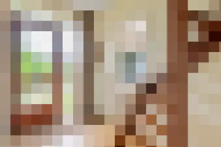 Cellendonklaan 25 Kerk-Avezaath thumbnail 9