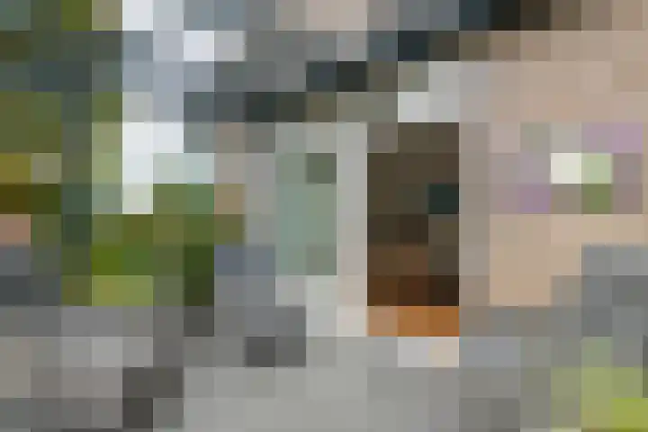 Cellendonklaan 27 Kerk-Avezaath thumbnail 24