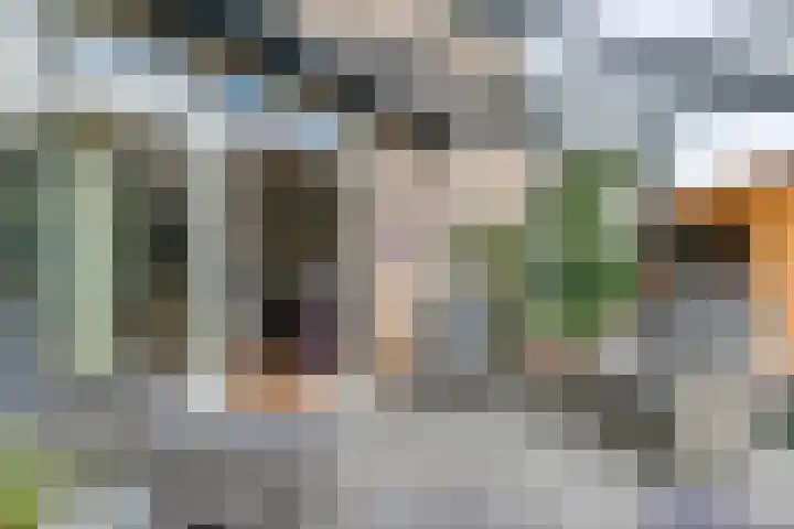 Cellendonklaan 27 Kerk-Avezaath thumbnail 25