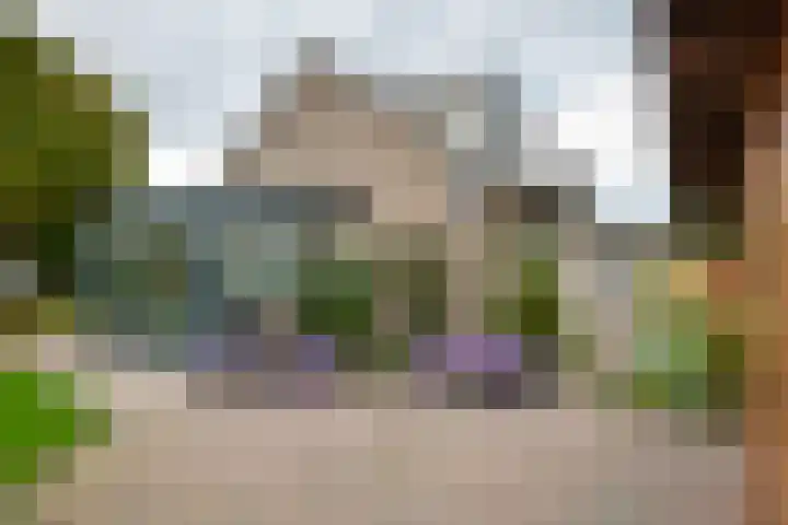 Cellendonklaan 27 Kerk-Avezaath thumbnail 26