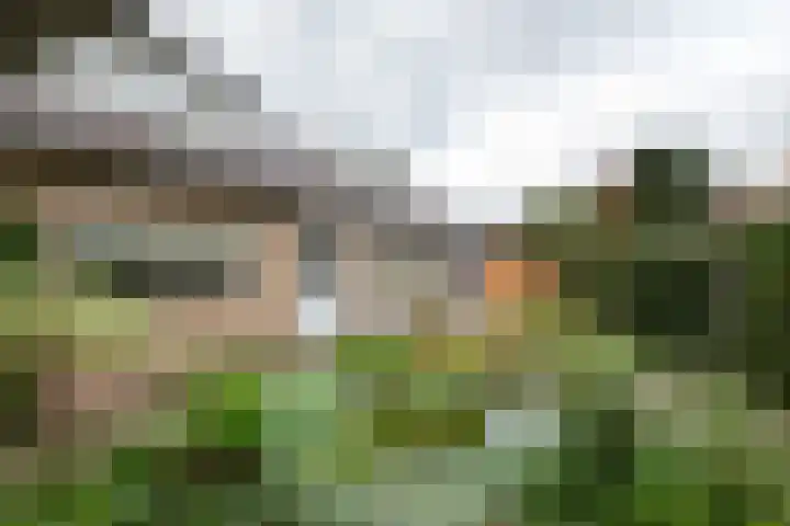 Cellendonklaan 27 Kerk-Avezaath thumbnail 27