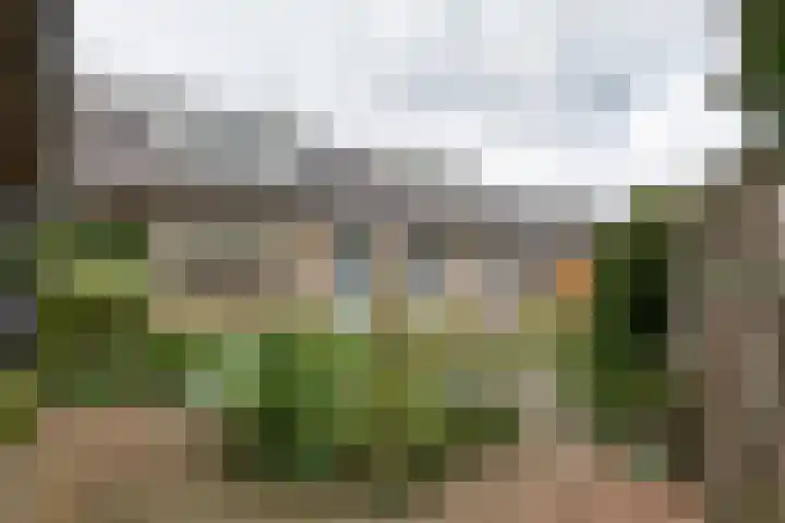 Cellendonklaan 27 Kerk-Avezaath thumbnail 28