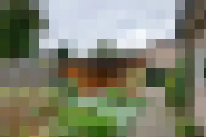 Cellendonklaan 27 Kerk-Avezaath thumbnail 29