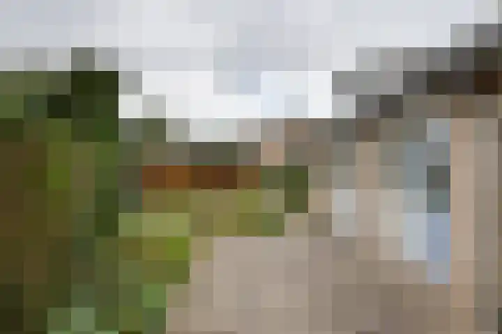 Cellendonklaan 27 Kerk-Avezaath thumbnail 30