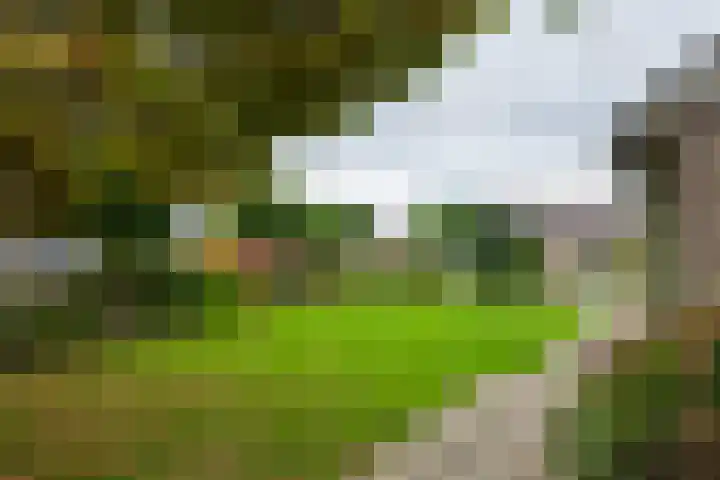 Cellendonklaan 27 Kerk-Avezaath thumbnail 32