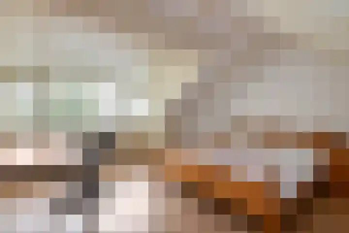Cellendonklaan 27 Kerk-Avezaath thumbnail 39