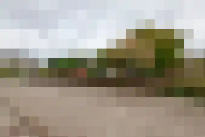 Cellendonklaan 27 Kerk-Avezaath thumbnail 45
