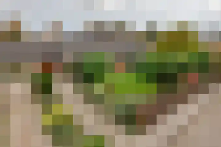 Cellendonklaan 27 Kerk-Avezaath thumbnail 7