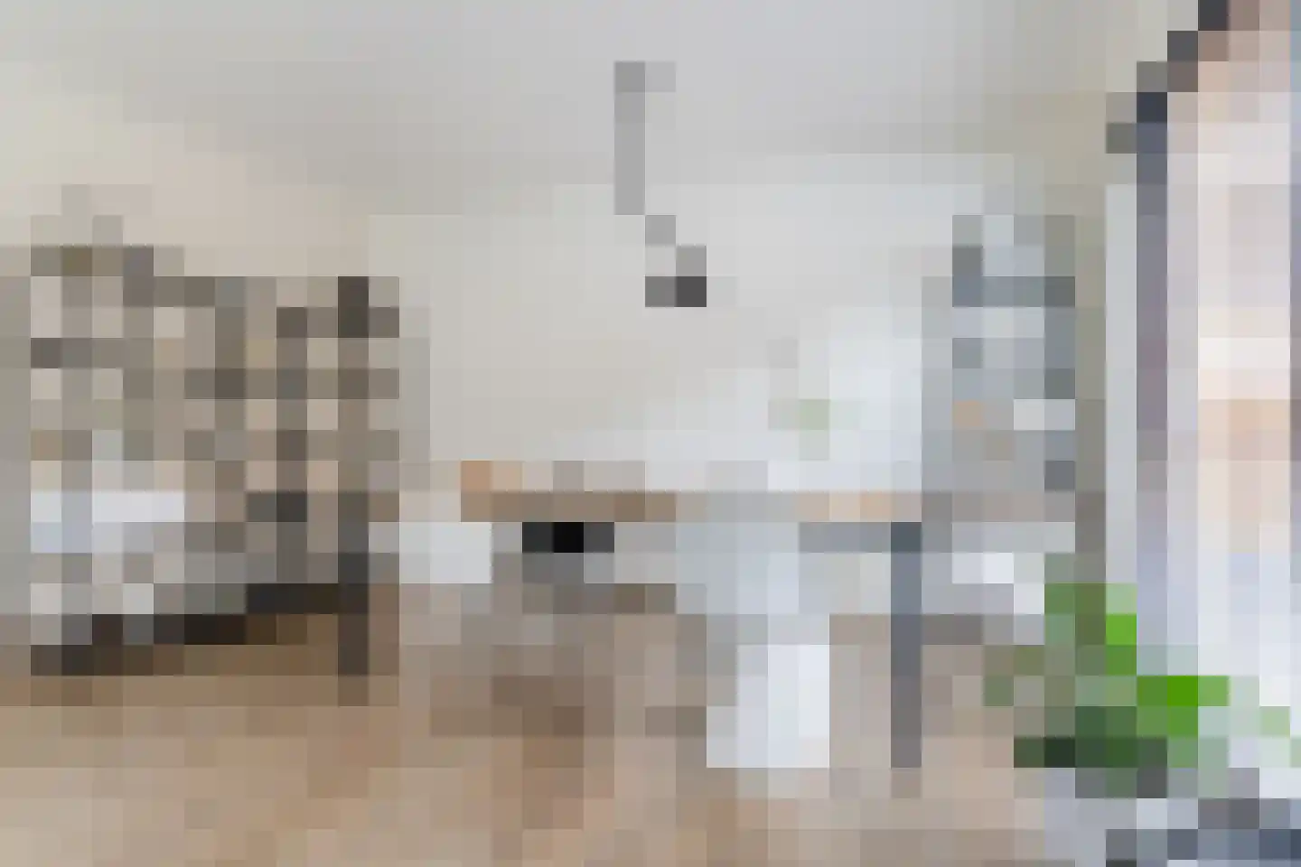 Cellendonklaan 4 Kerk-Avezaath thumbnail 10