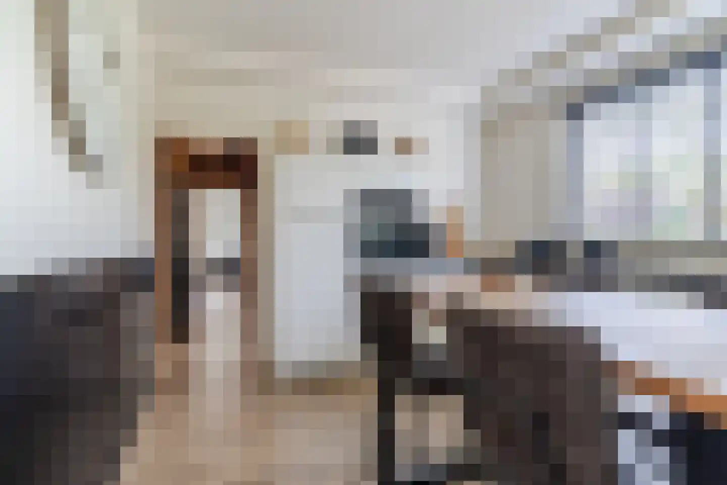 Cellendonklaan 4 Kerk-Avezaath thumbnail 14