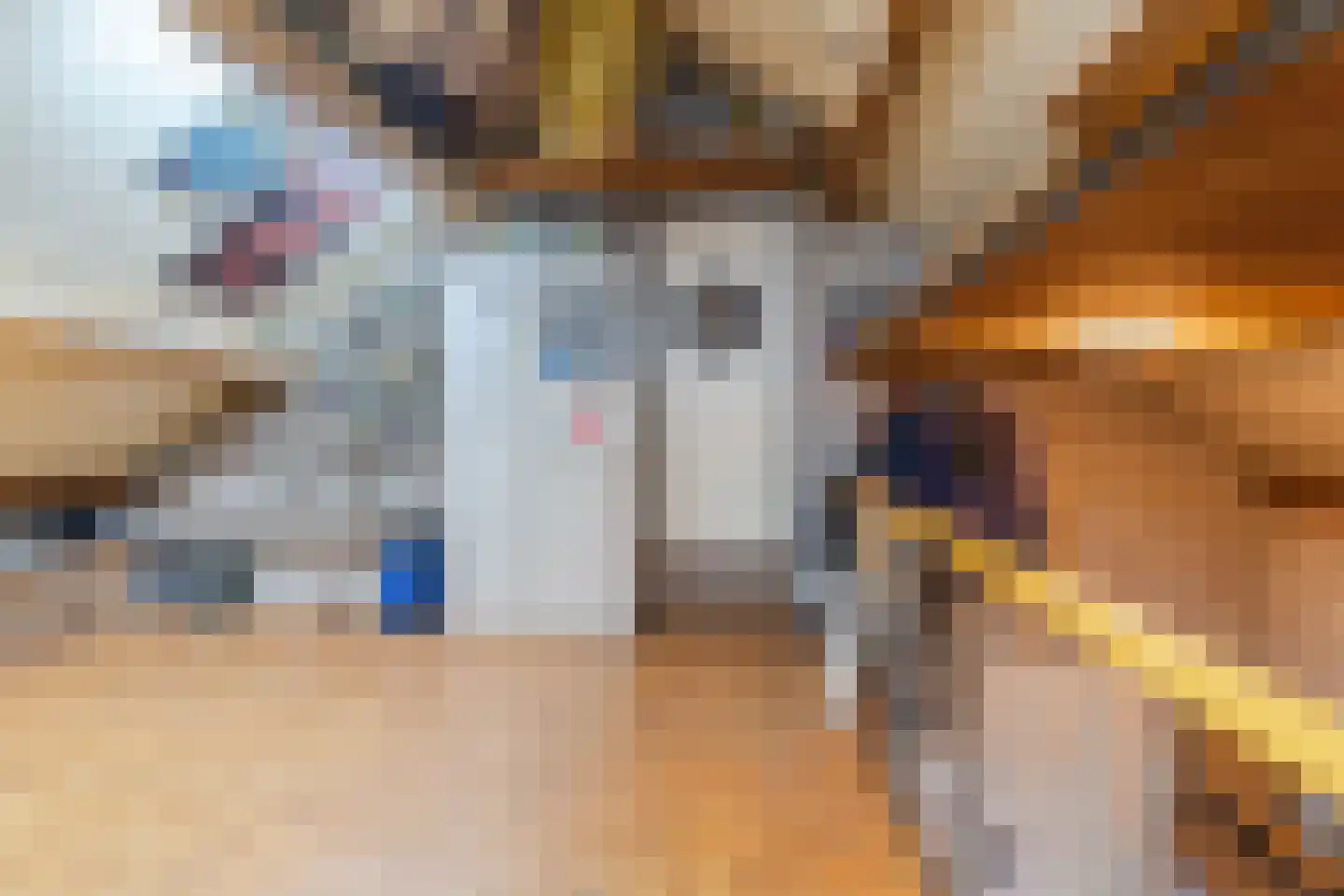 Cellendonklaan 4 Kerk-Avezaath thumbnail 38