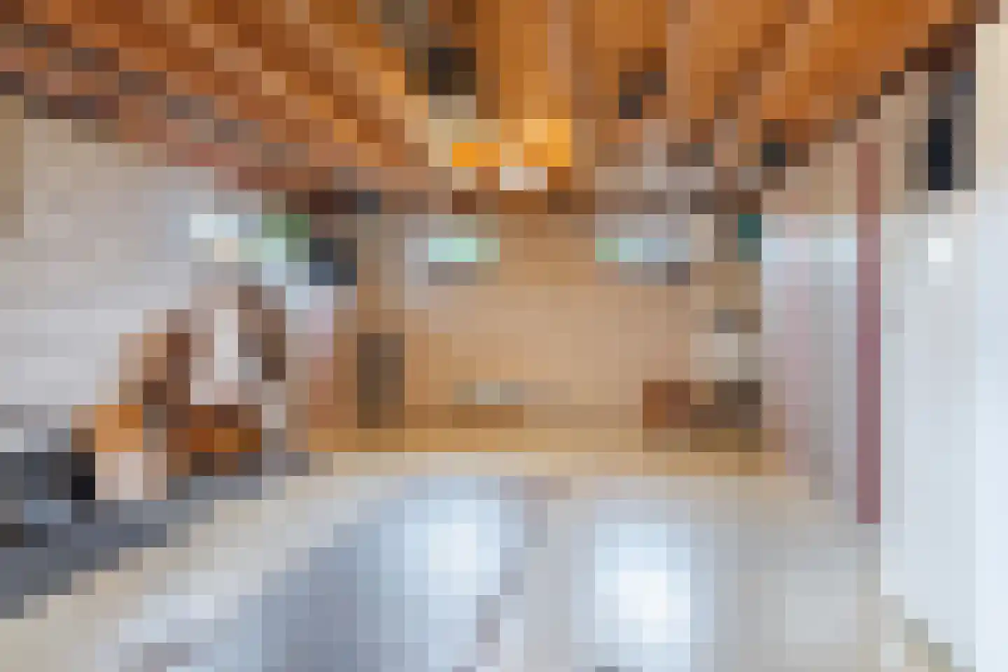 Cellendonklaan 4 Kerk-Avezaath thumbnail 40