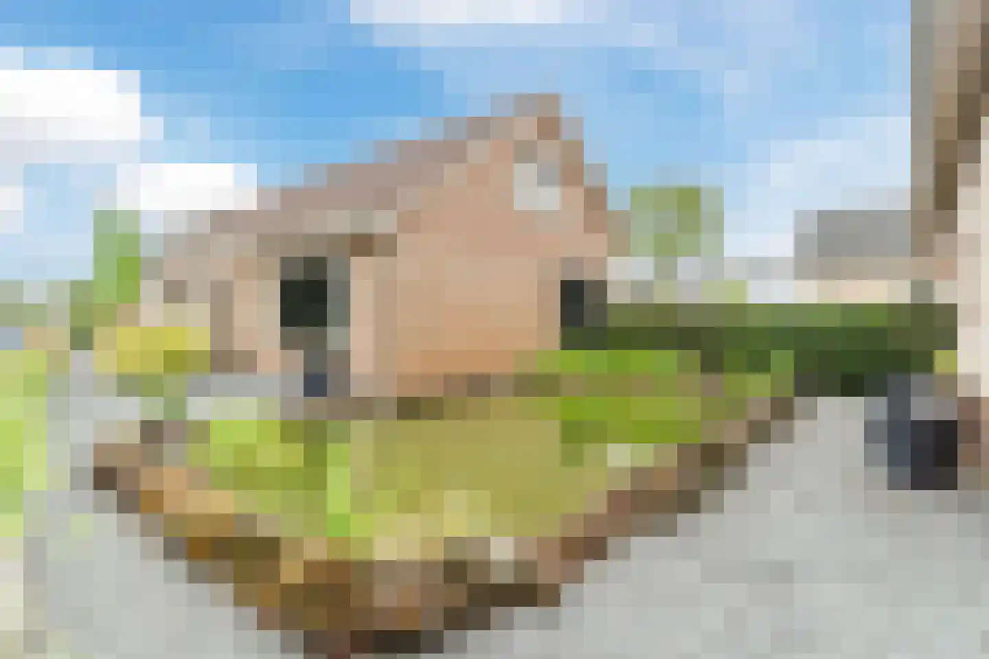 Cellendonklaan 4 Kerk-Avezaath thumbnail 43