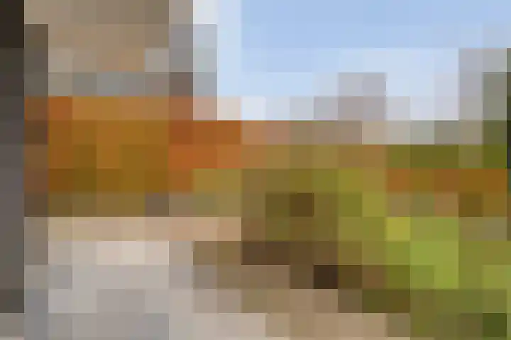 Cello 24 Tubbergen thumbnail 10