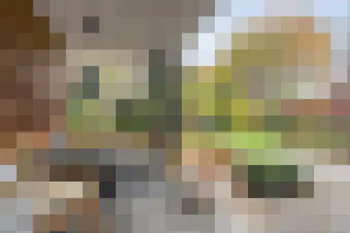 Cello 24 Tubbergen thumbnail 18