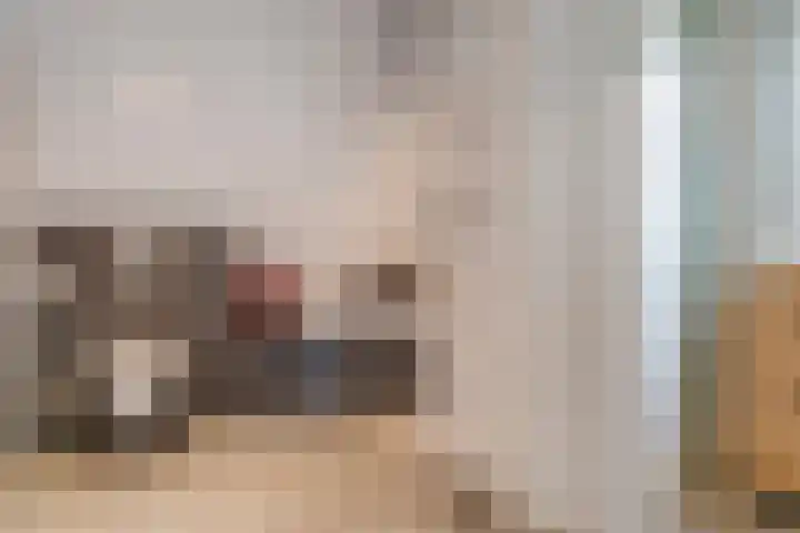 Cello 24 Tubbergen thumbnail 28