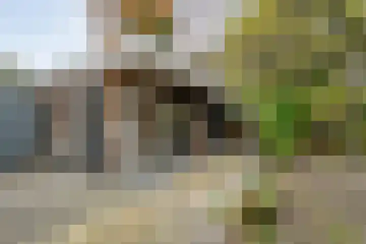 Cello 24 Tubbergen thumbnail 31