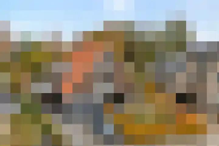 Cello 24 Tubbergen thumbnail 4