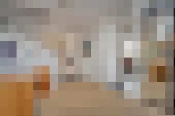 Cello 24 Tubbergen thumbnail 6
