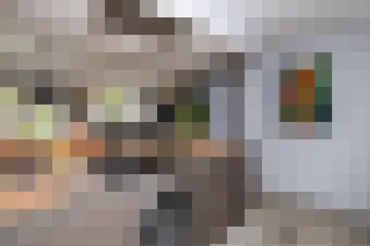 Cellolaan 3 Barendrecht thumbnail 17
