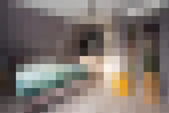 Cellolaan 3 Barendrecht thumbnail 21