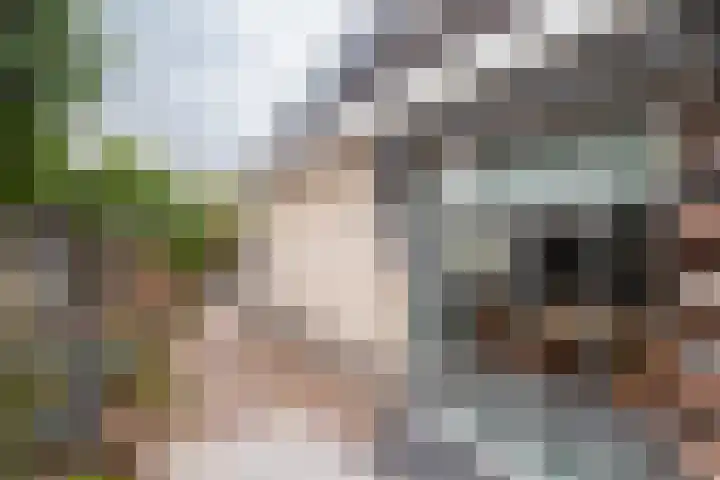 Cellolaan 3 Barendrecht thumbnail 30