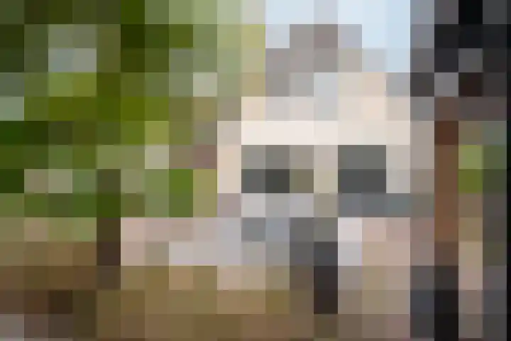Cellolaan 3 Barendrecht thumbnail 31