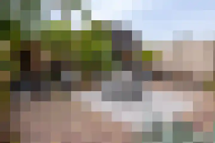 Cellolaan 3 Barendrecht thumbnail 34