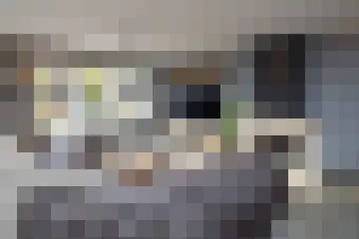 Cellolaan 3 Barendrecht thumbnail 7