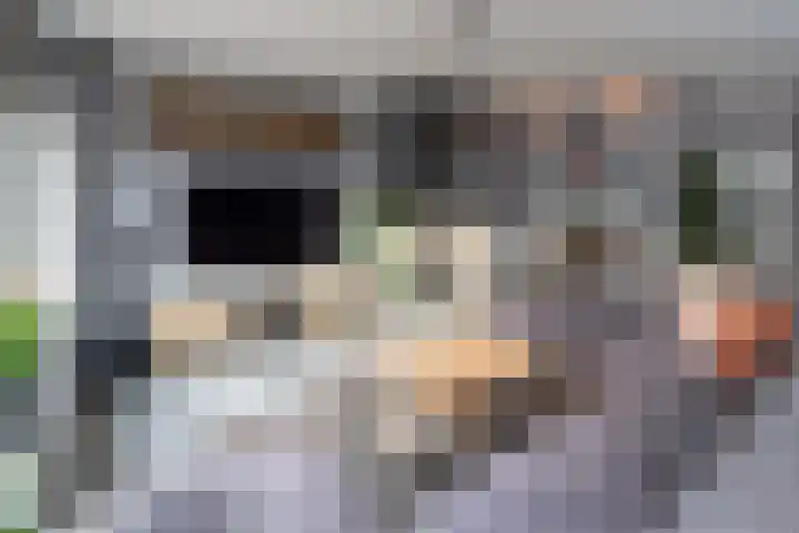 Cellolaan 3 Barendrecht thumbnail 8