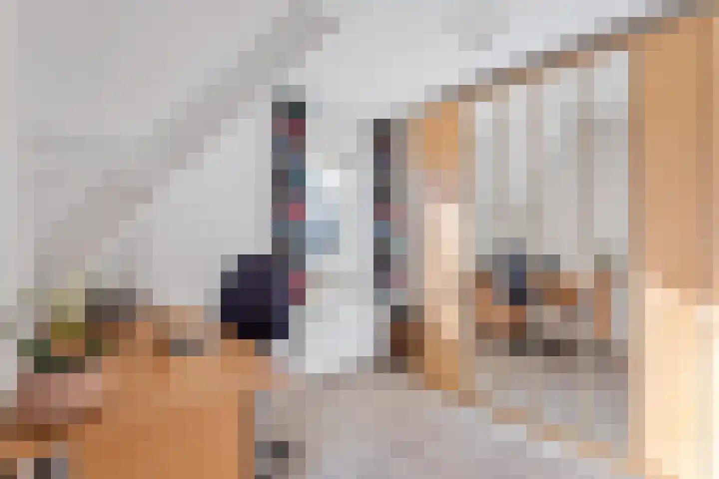 Cellolaan 7 Oldenzaal thumbnail 13