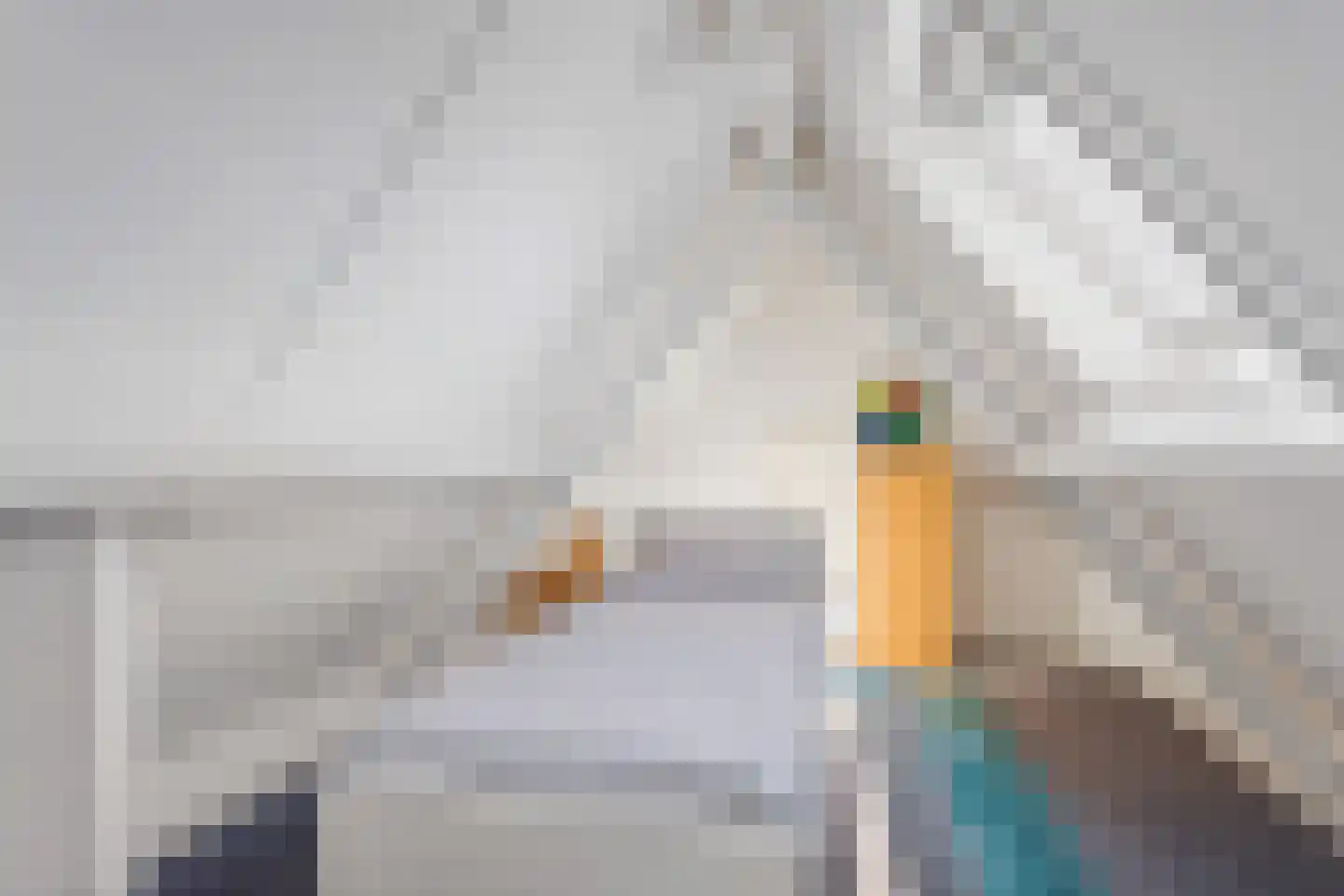 Cellolaan 7 Oldenzaal thumbnail 16