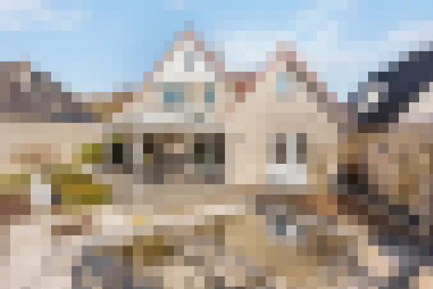 Cellolaan 7 Oldenzaal thumbnail 17