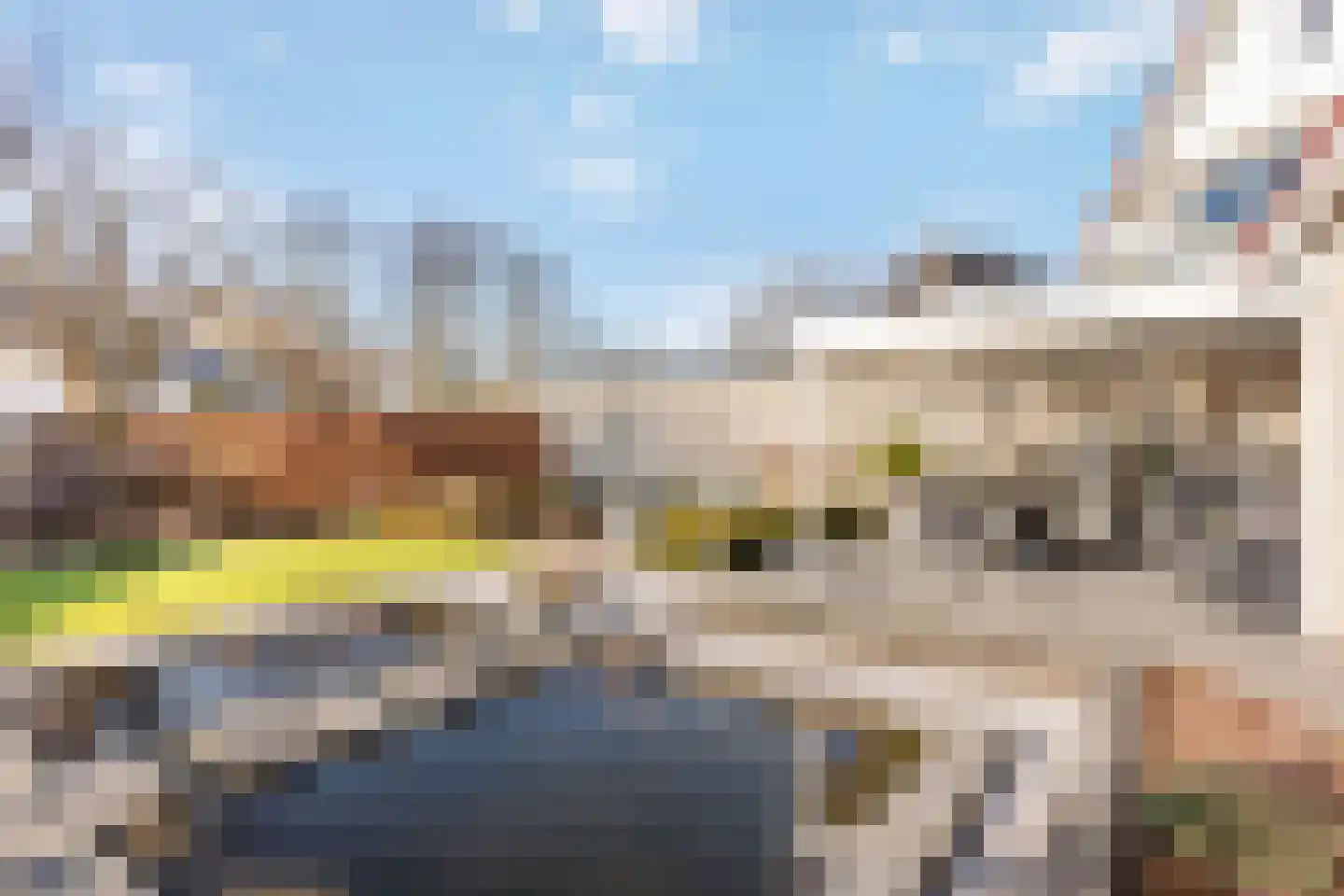 Cellolaan 7 Oldenzaal thumbnail 18