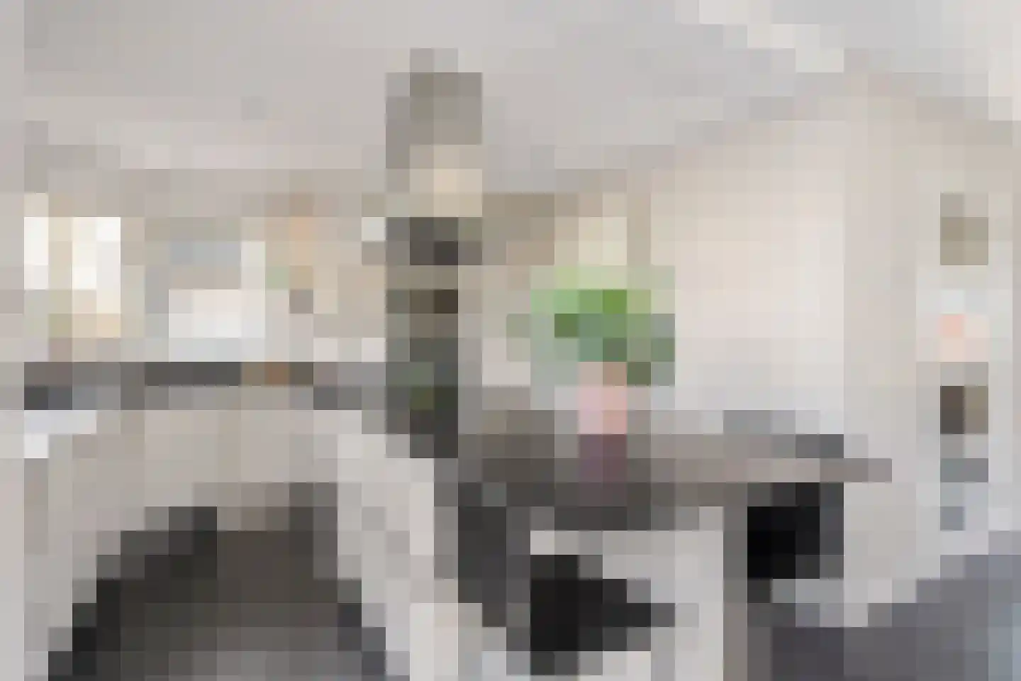 Cellolaan 7 Oldenzaal thumbnail 9