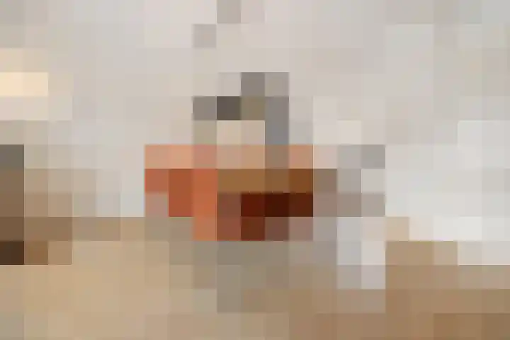 Cellopad 10 Duiven thumbnail 10