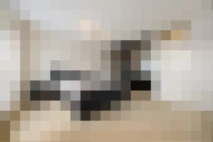 Cellopad 10 Duiven thumbnail 18