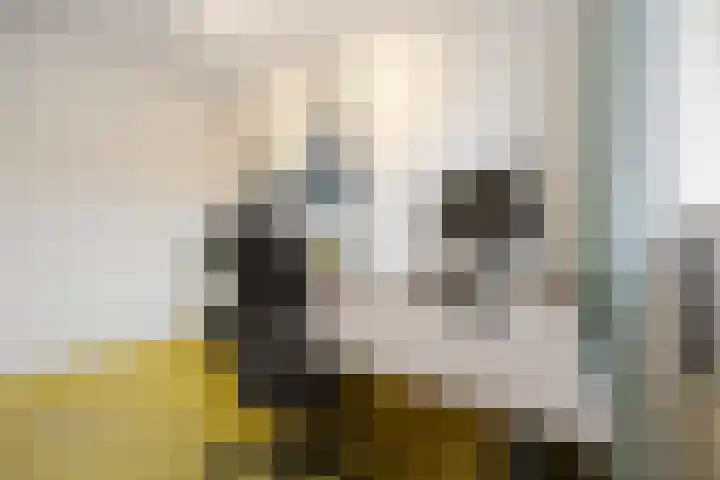 Cellopad 10 Duiven thumbnail 23