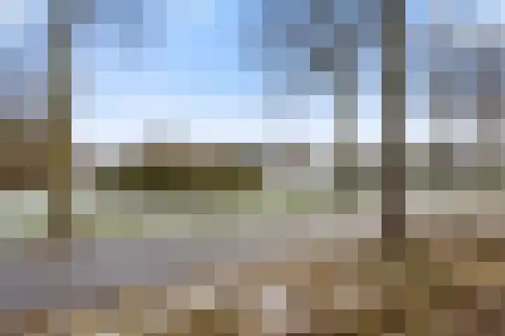 Cellopad 10 Duiven thumbnail 38