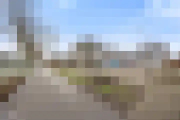 Cellopad 10 Duiven thumbnail 39