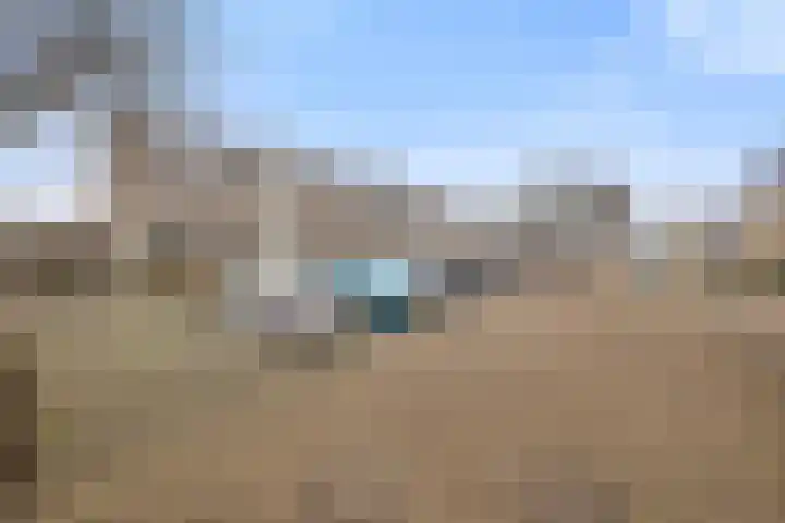 Cellopad 10 Duiven thumbnail 40