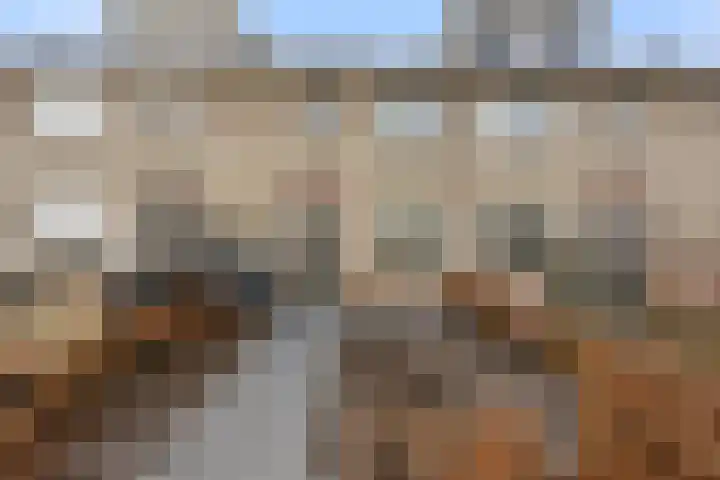 Cellopad 10 Duiven thumbnail 42