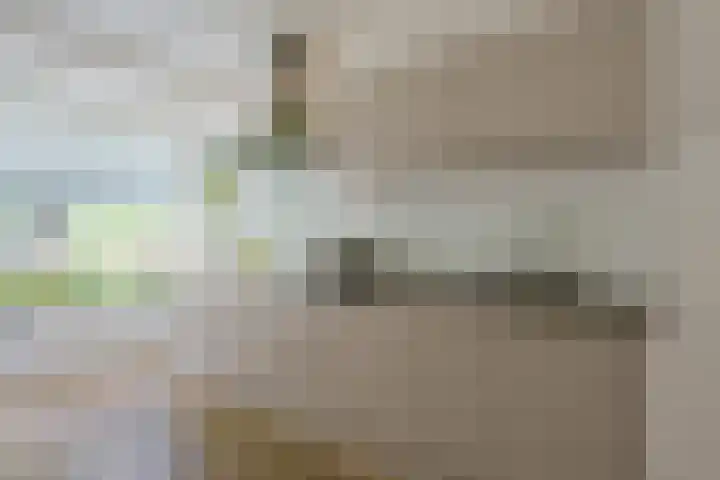 Cellostraat 1 Eindhoven thumbnail 17