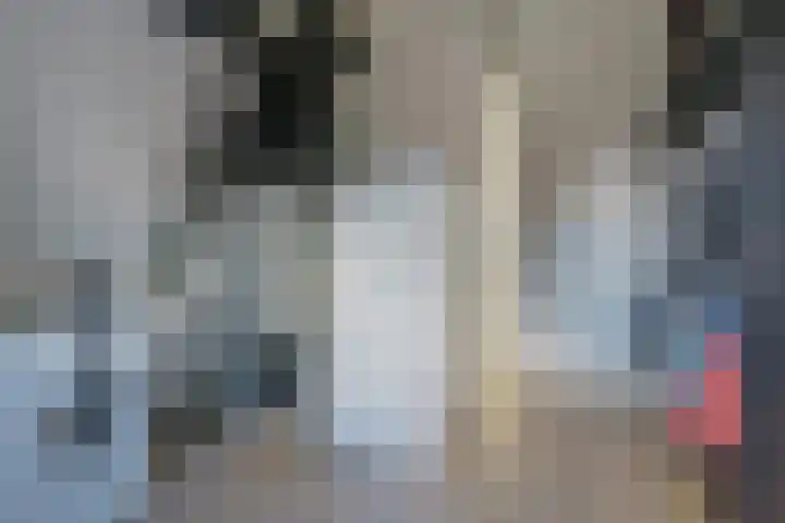 Cellostraat 1 Eindhoven thumbnail 45