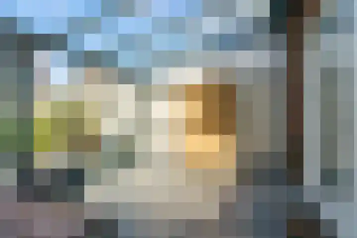Cellostraat 1 Eindhoven thumbnail 47