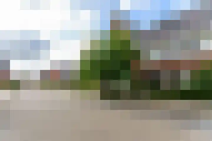 Cellostraat 1 Eindhoven thumbnail 9