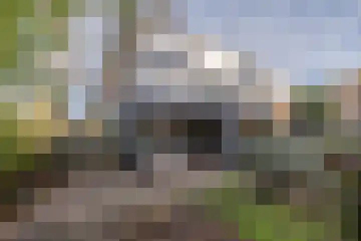 Cellostraat 1 Uden thumbnail 8