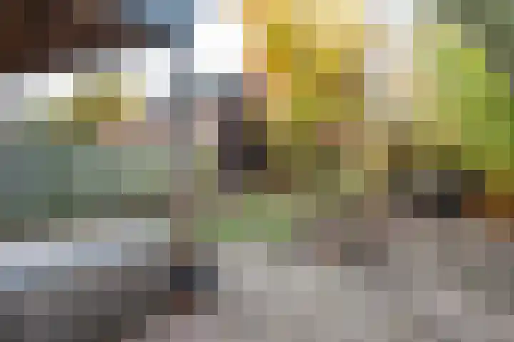 Cellostraat 1 Uden thumbnail 9