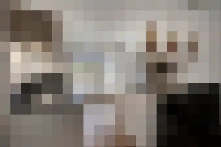Cellostraat 10 Eindhoven thumbnail 17