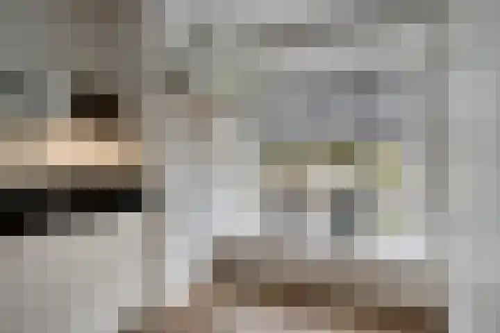 Cellostraat 10 Eindhoven thumbnail 20